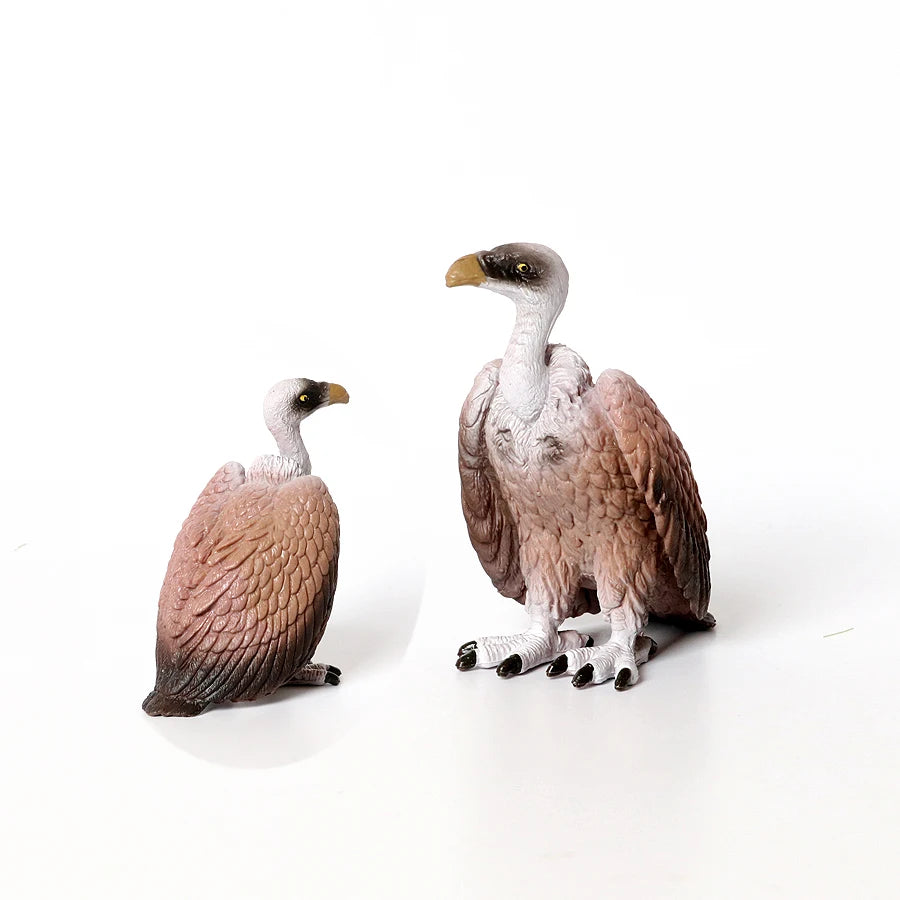 REAL MINIATURES OF AMAZON BIRDS