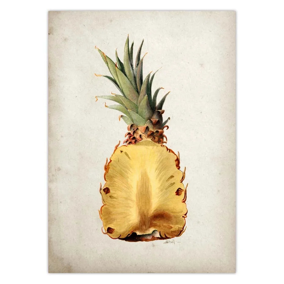 BRAZILIAN FRUITS POSTER