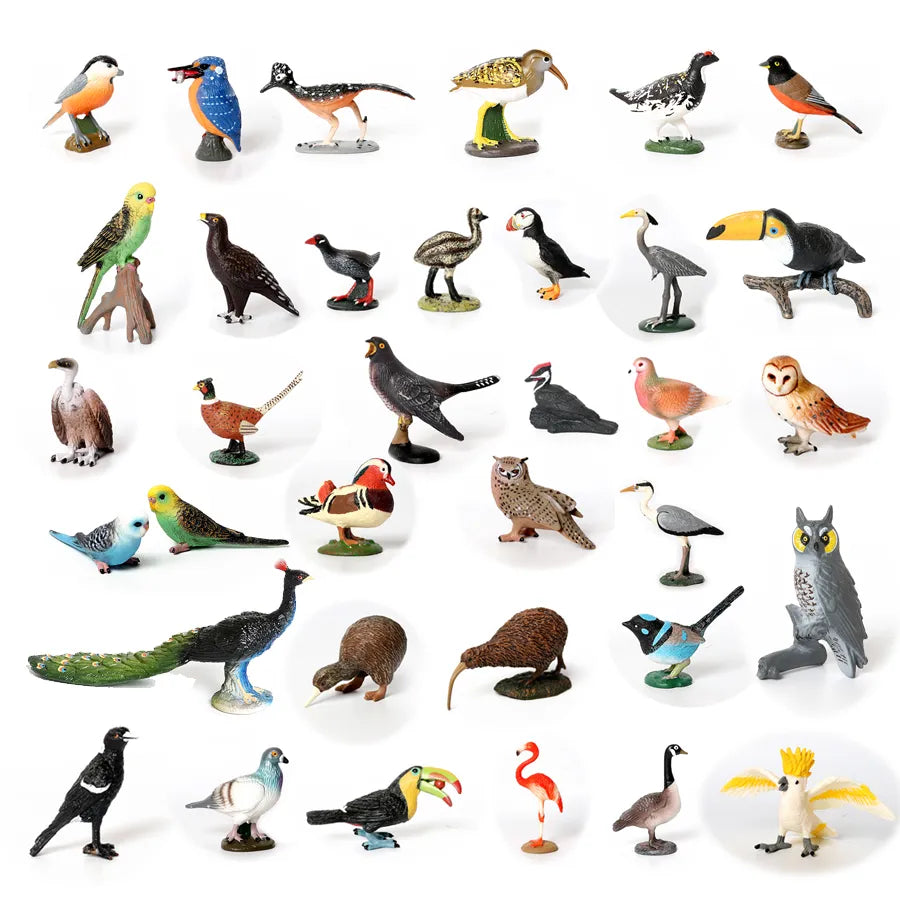 REAL MINIATURES OF AMAZON BIRDS