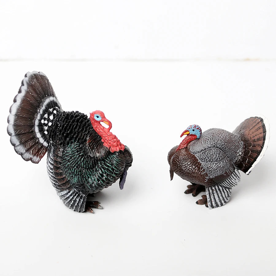 REAL MINIATURES OF AMAZON BIRDS