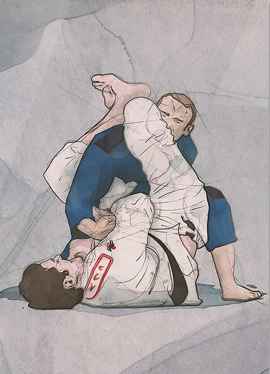BRAZILIAN JIU JITSU POSTERS